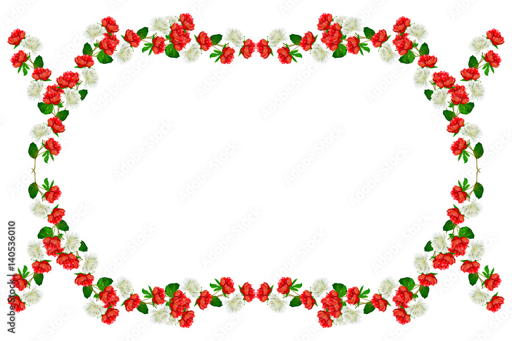 Colorful bright flowers peonies isolated on white background. Colorful bright flowers peonies isolated on white background.
