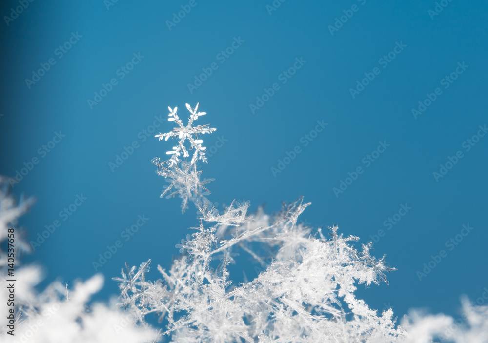 photo real snowflakes during a snowfall, under natural conditions at low temperature