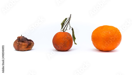 Spoiled rotten mandarin isolated on white background.