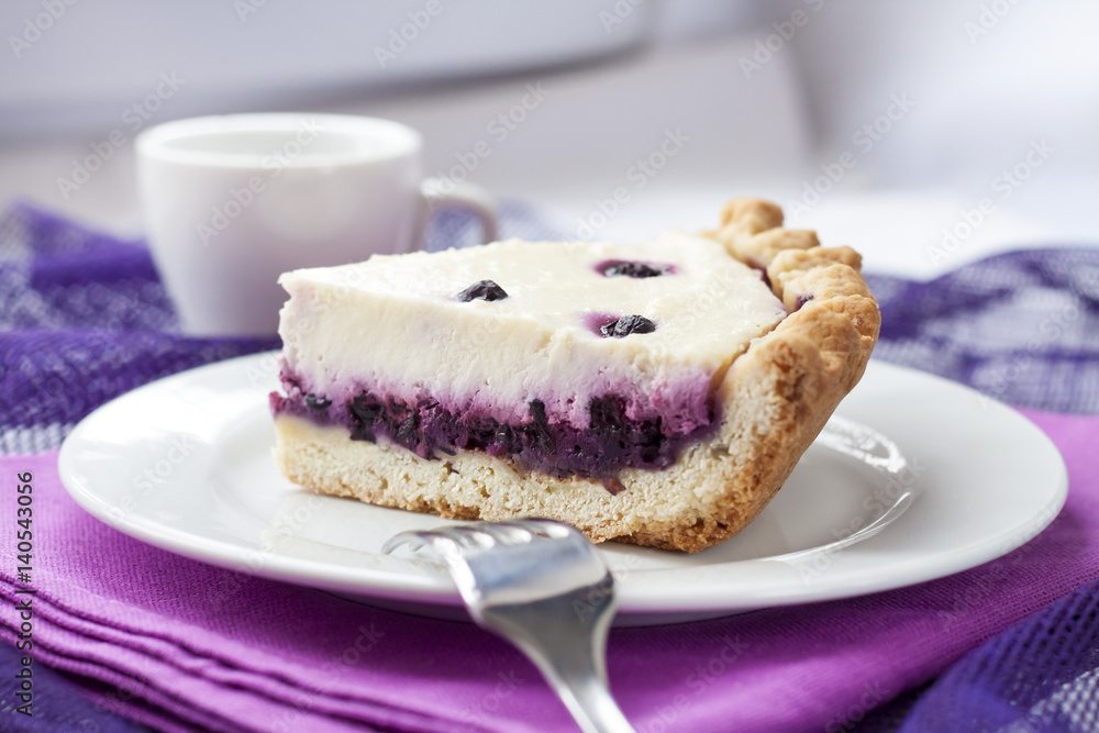 Piece of cheesecake with blueberries on a plate Piece of cheesecake with blueberries on a plate