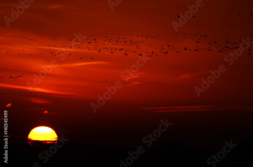 sunset over the lake