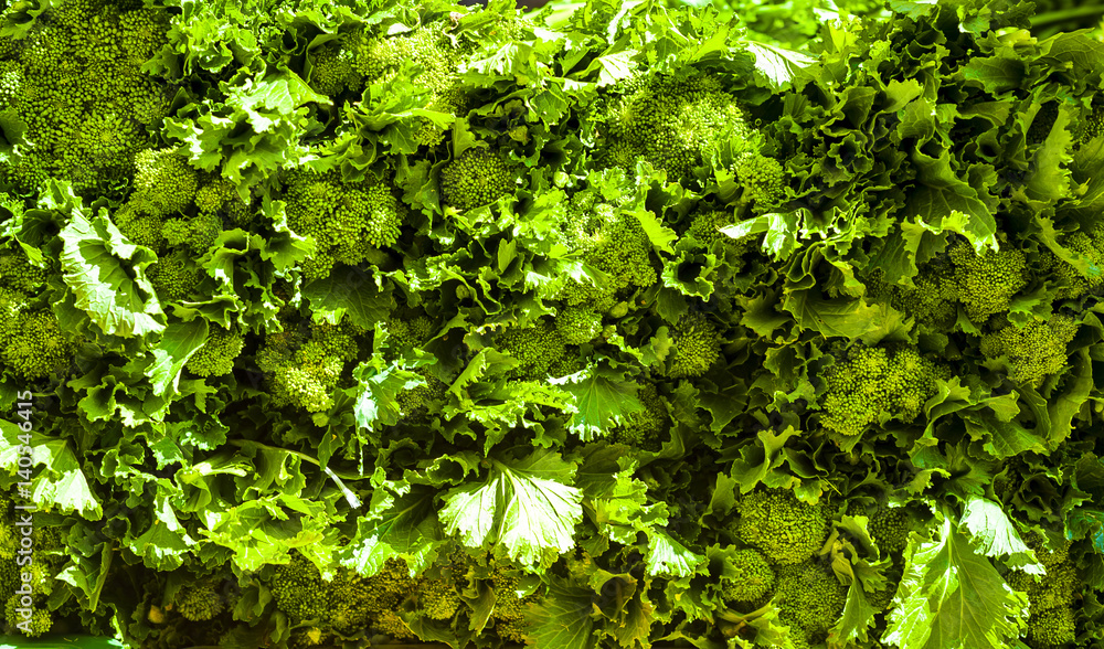 Fresh broccoli rabe - Cima di rapa - Brassica rapa Fresh broccoli rabe - Cima di rapa - Brassica rapa