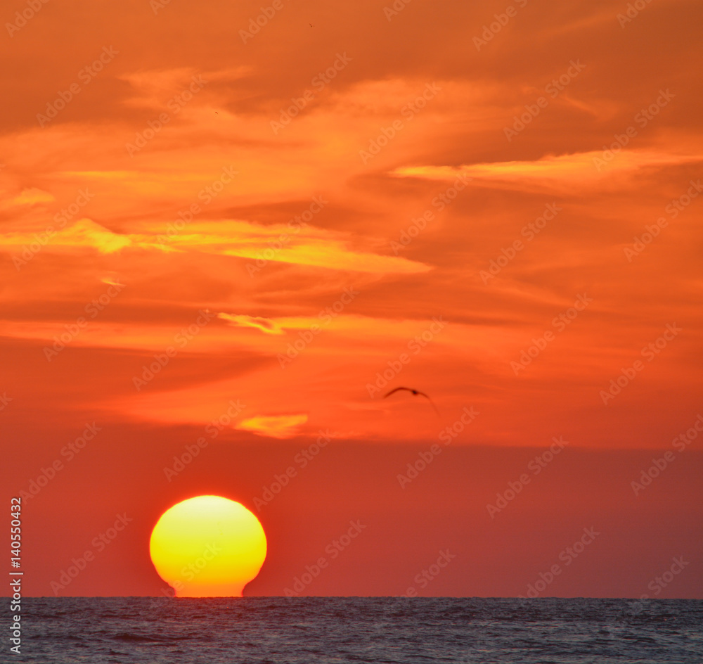 Beautiful sunset on the Gulf of Mexico, Florida!