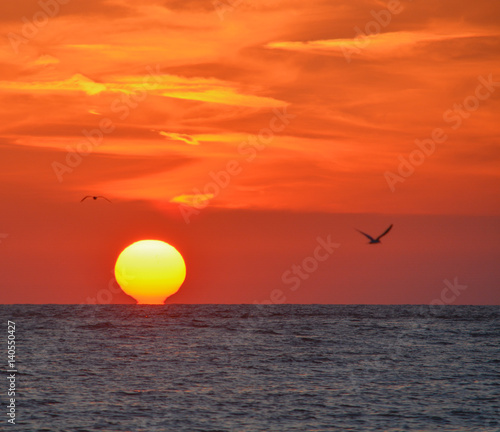 Fototapeta Naklejka Na Ścianę i Meble -  Beautiful sunset on the Gulf of Mexico, Florida!