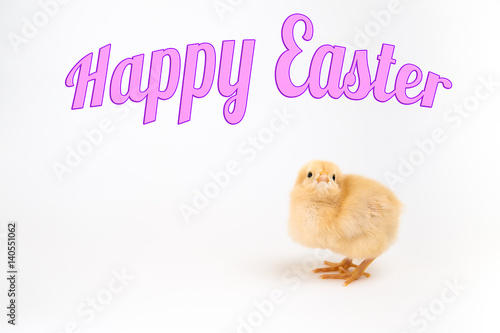 Newly hatched chick on white with Happy Easter title