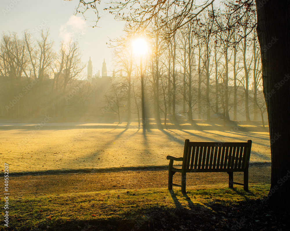 Trinity College Cambridge park at dawn