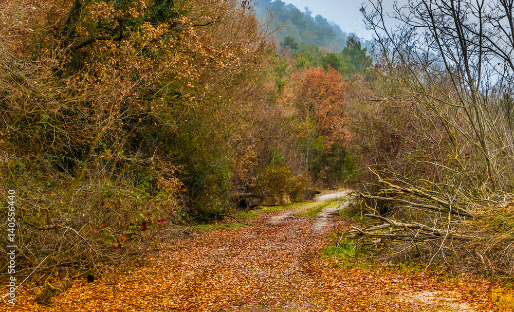 Autumn in spain