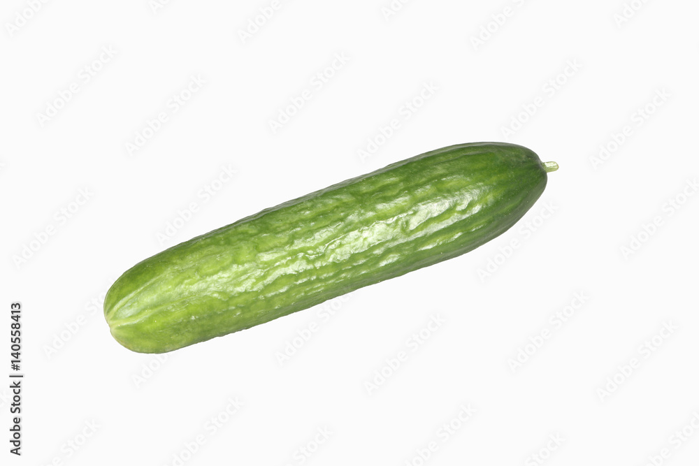 Freisteller Salatgurke Freisteller Salatgurke