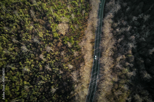 Aerial view of the Italian forest in Rome