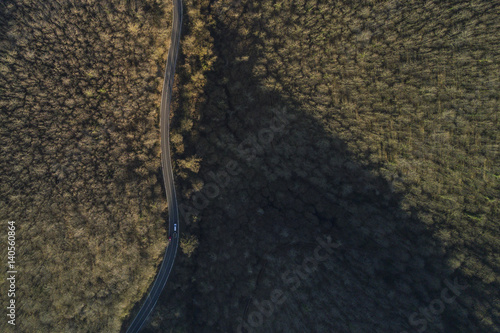 Aerial view of the Italian forest in Rome