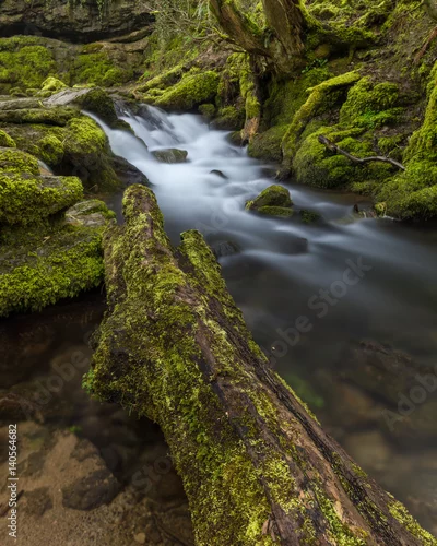 Obraz Mały bujny wodospad w brytyjskiej wsi otoczony zielonym mchem.