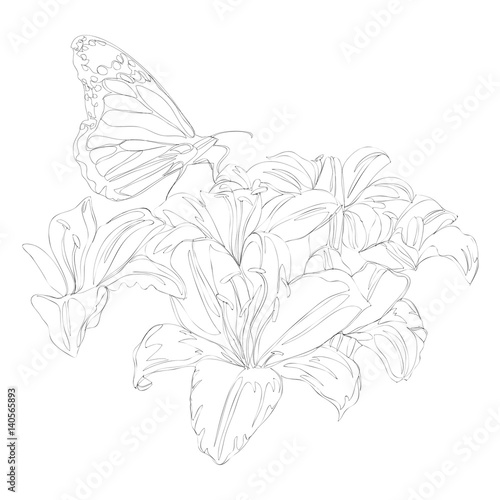 beautiful flowers line art continuous line drawing