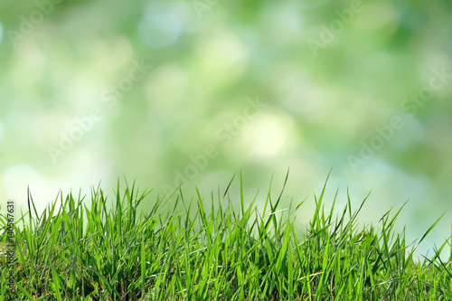 Green grass isolated on a green bokeh background