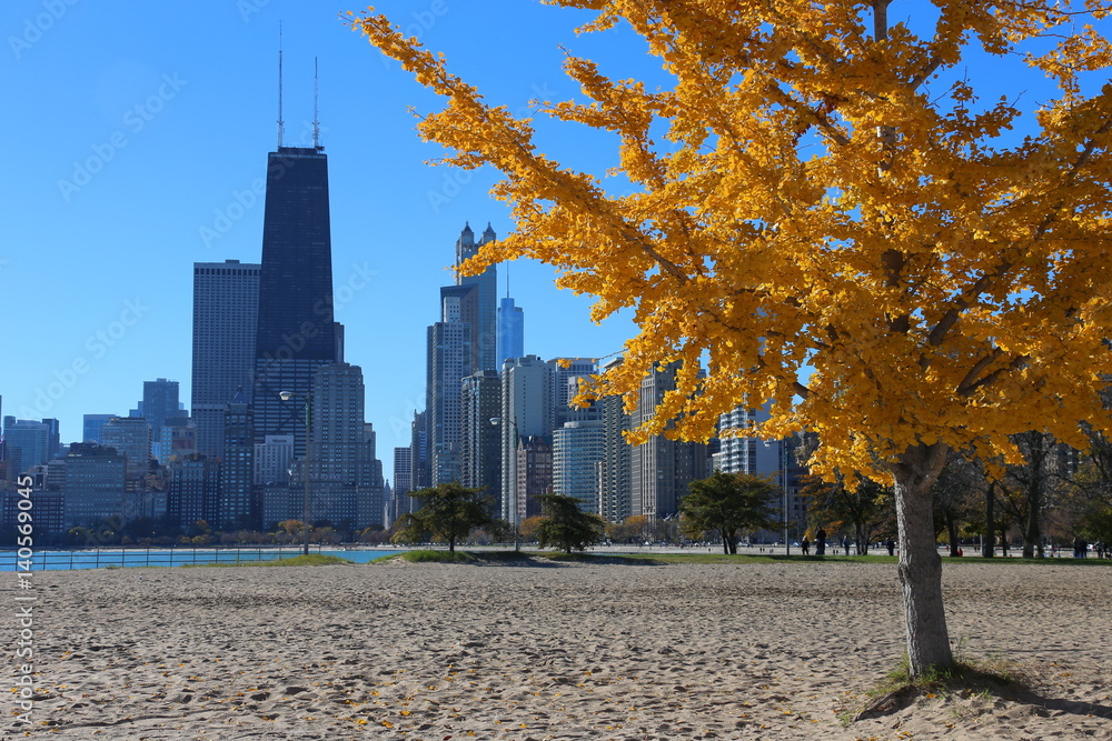 Fototapeta premium Chicago in Autumn