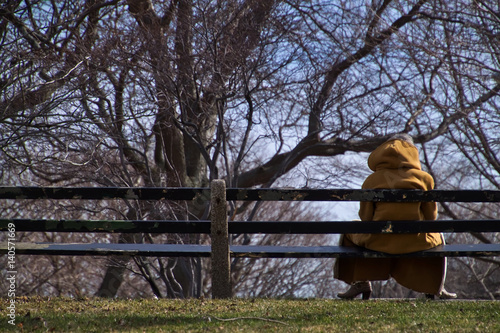 Woman sitting alone and reading on a park bench in Chicago during cold winter day. photo