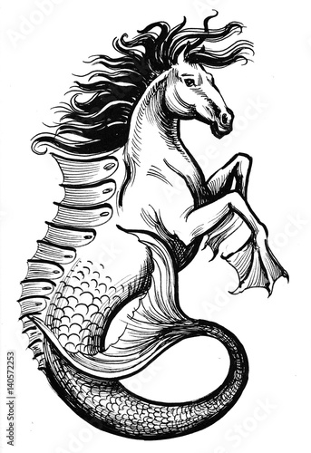 Fotografija Hippocampus