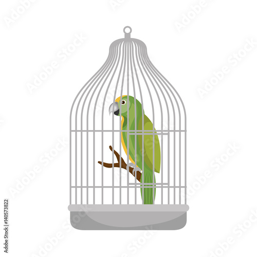 cute bird parrot in cage mascot vector illustration design