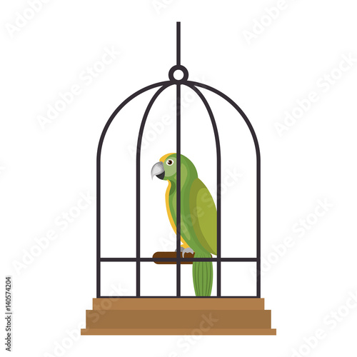 cute bird parrot in cage mascot vector illustration design
