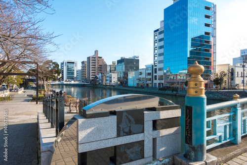 徳島市新町川風景　阿波踊りがモチーフのしんまちはし