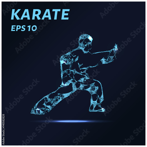 Karate consists of points, lines and triangles. The polygon shape in the form of a silhouette of karate against a dark background. Vector illustration. Graphic concept karate