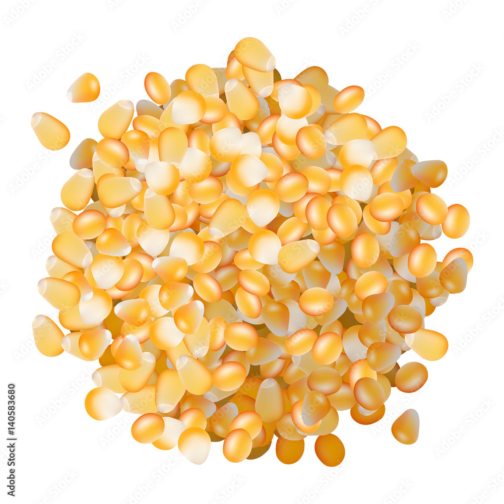 Corn seeds pile top view on white background Corn seeds pile top view on white background