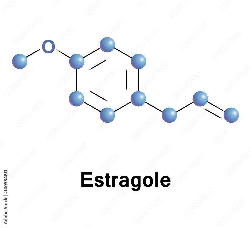 Estragole is a phenylpropene, a natural organic compound. Its chemical structure consists of a benzene ring substituted with a methoxy group and a propenyl group. Estragole is a phenylpropene, a natural organic compound. Its chemical structure consists of a benzene ring substituted with a methoxy group and a propenyl group.