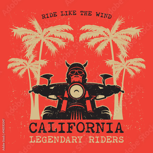 Biker riding a motorcycle, poster