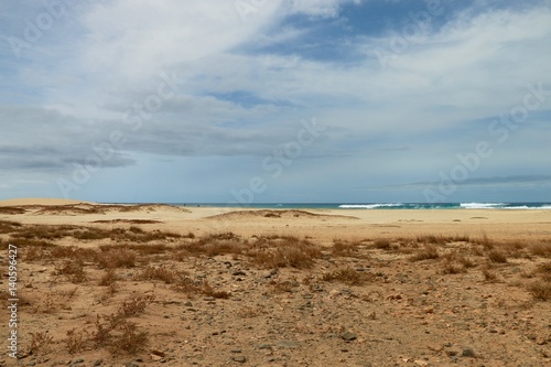   beach Santa Maria, Sal Island , CAPE VERDE                             © sofifoto