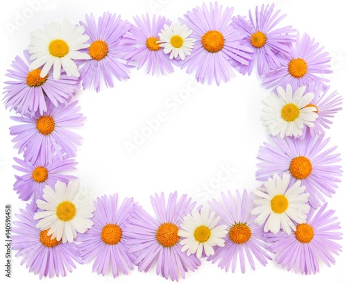 purple flowers and chamomiles on white background.Frame, Blank, greeting card