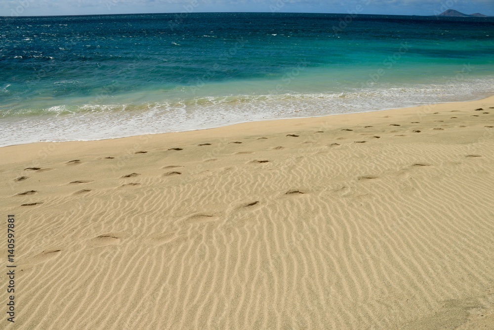 Fototapeta premium beach Santa Maria, Sal Island , CAPE VERDE
