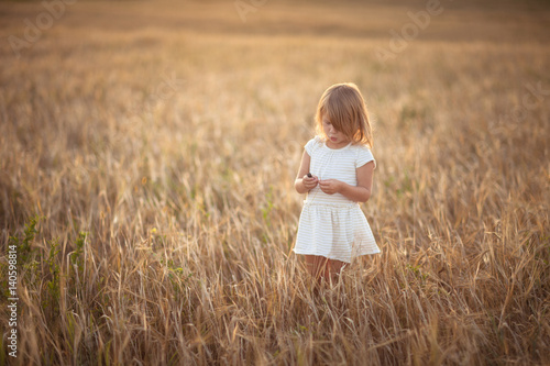 Girl walks in field with rye at sunset, lifestyle