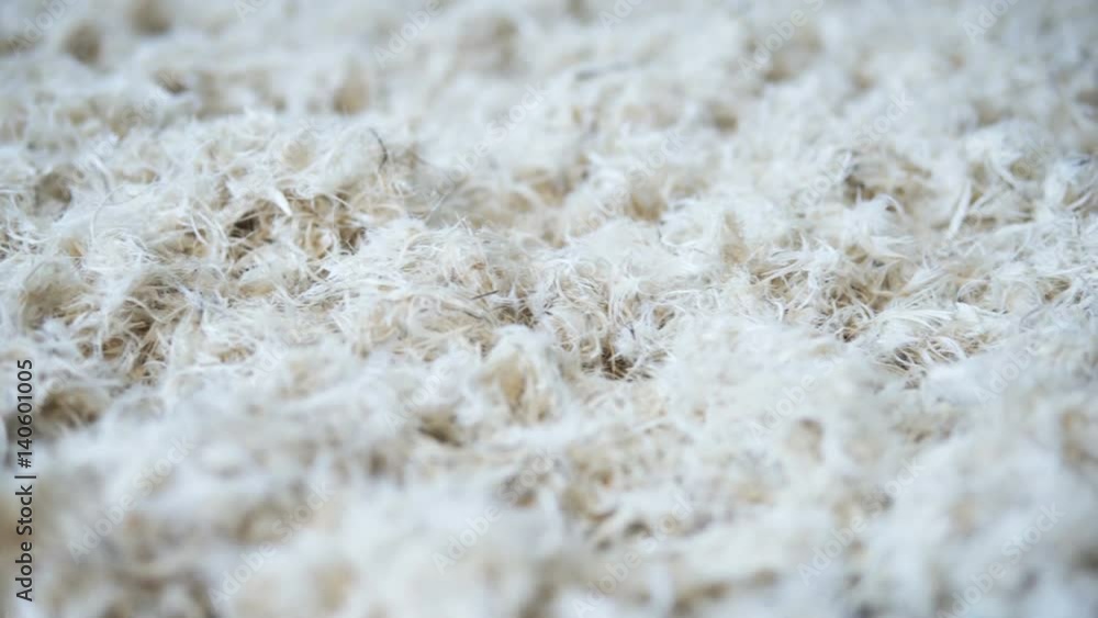 Horizontal camera slide over lots of white soft feathers
Horizontal camera slide over lots of white soft feathers