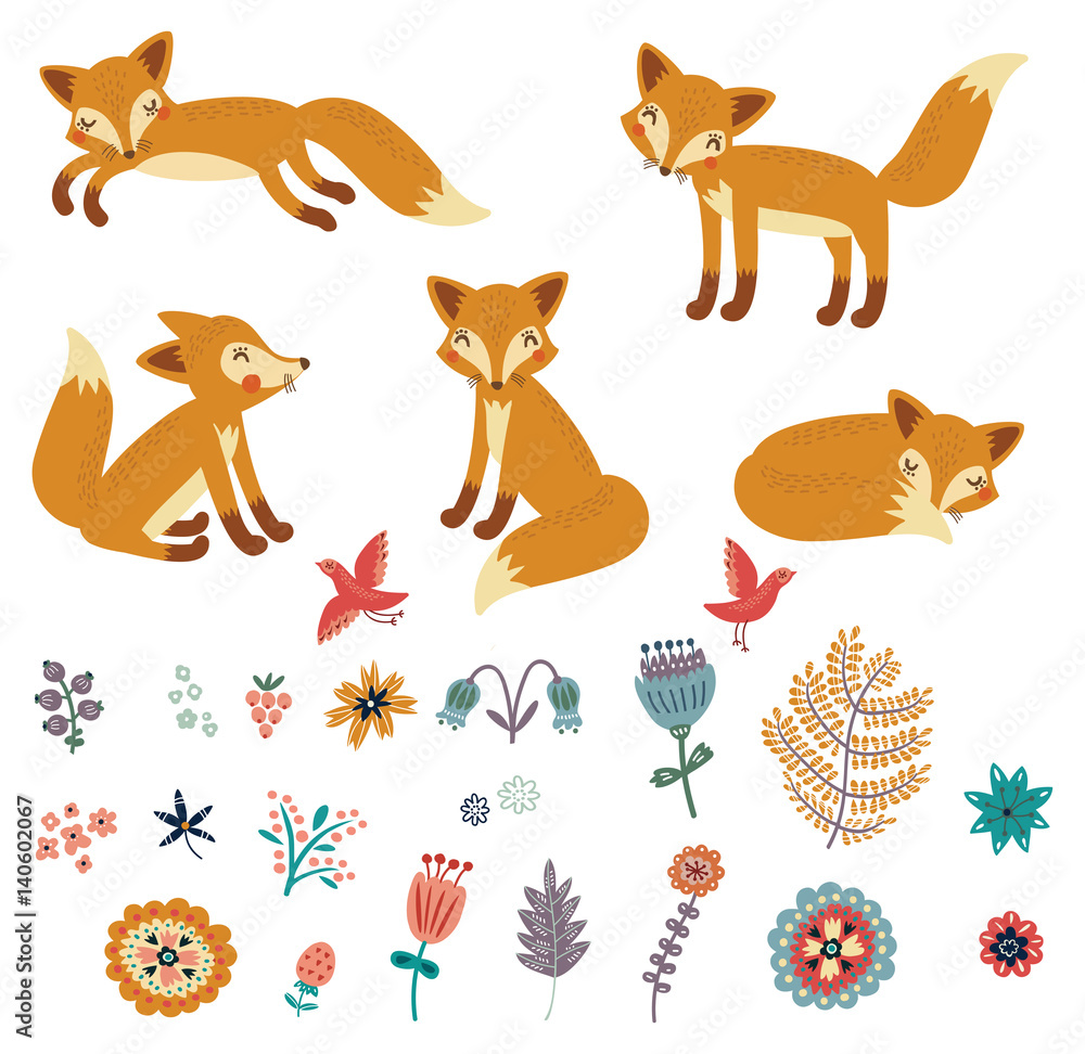 Foxes set