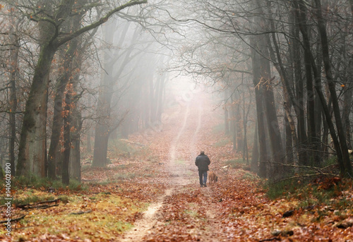 Man with dog walking on lane in misty autumn forest.