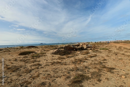  beach Santa Maria, Sal Island , CAPE VERDE