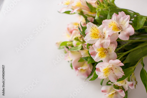 Fototapeta Naklejka Na Ścianę i Meble -  Beautiful flowers on a white background