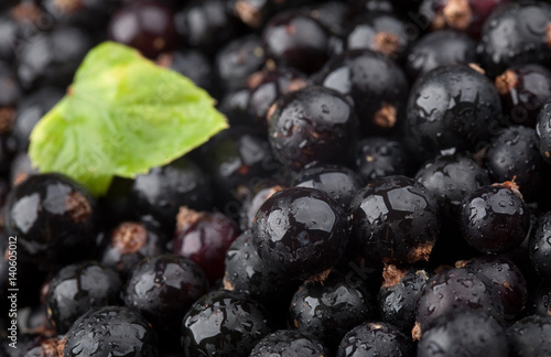 Black currant with drops of water and green leaf
