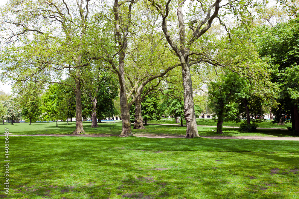 Obraz premium View across shady grass into park