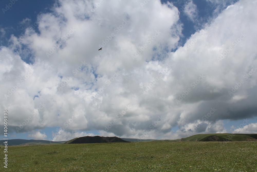 Amdo Tibetan Grasslands in Summer Amdo Tibetan Grasslands in Summer