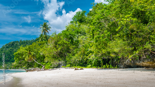 Bamboo Huts on the Beach, Coral Reef of an Homestay Gam Island, West Papuan, Raja Ampat, Indonesia