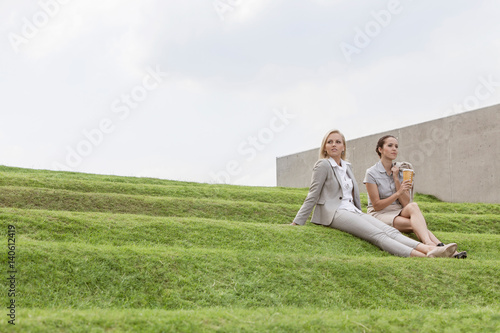 Full length of female business executives sitting on grass steps against sky