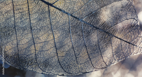 Tile, texture of leaves