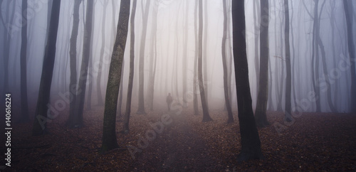 Fantasy forest with man walking on road between trees
