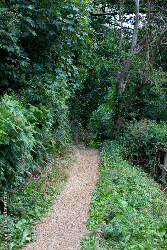 Obraz premium Country Lane in British Countryside