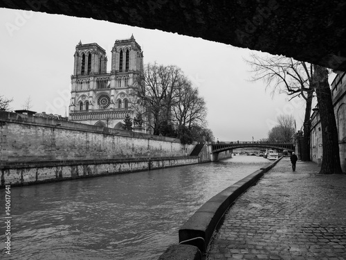 Canvas Print PARIS, FRANCE – MARCH 4TH 2017: A monochrome photograph taken under the Petit Po