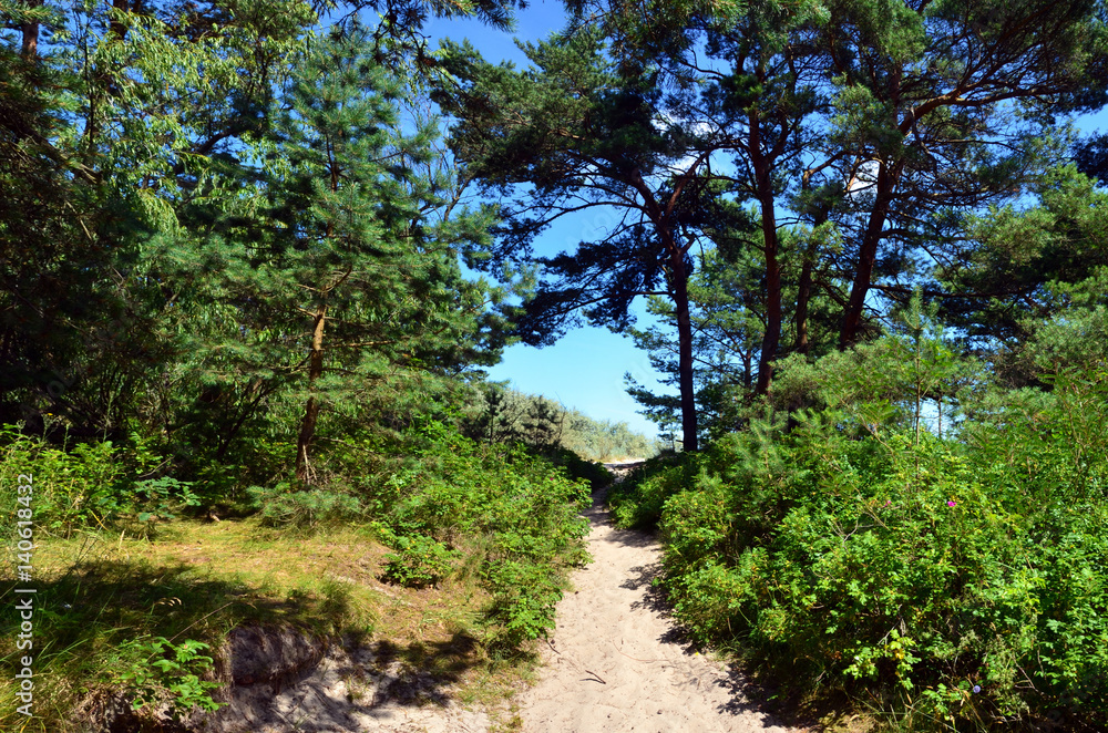 zum strand zum strand