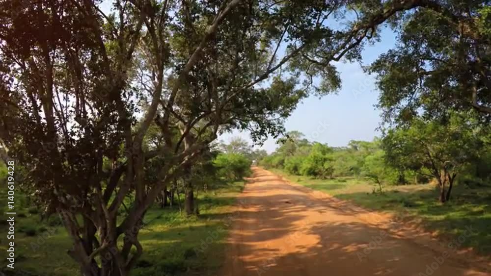 Riding along a Red Dirt Road in Sri Lanka, with Sound Riding along a Red Dirt Road in Sri Lanka, with Sound