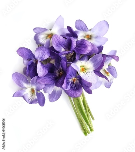 Bouquet of violets flowers