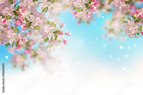 Spring Cherry Blossom © Nadezda Kostina