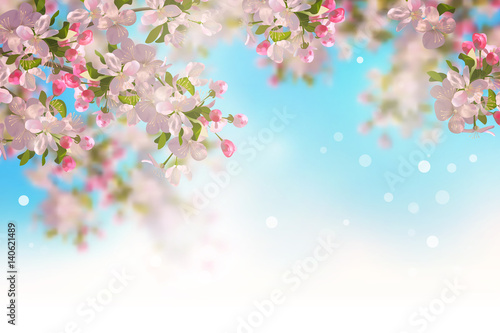 Spring Cherry Blossom